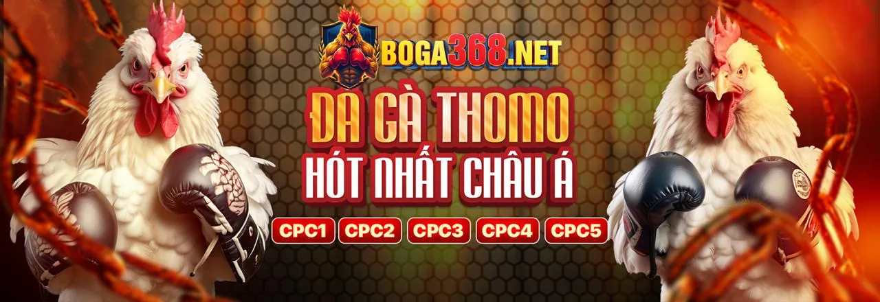 Lợi ích độc quyền cho thành viên VIP