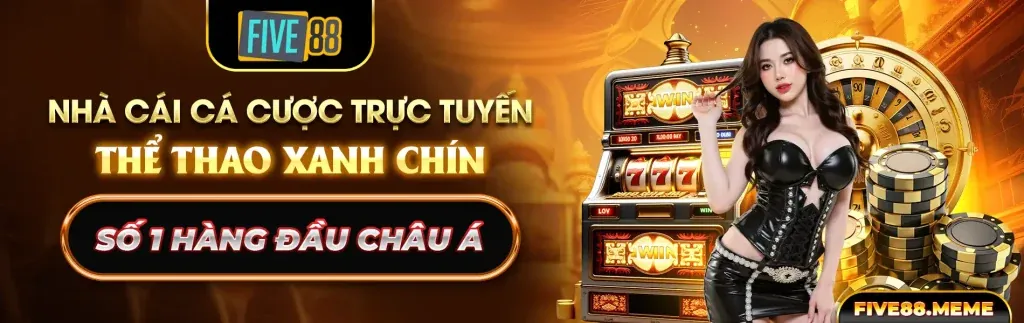 Các cấp độ VIP của vn6 nhà cái